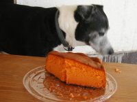 Birthday Cake (Orange! No icing!