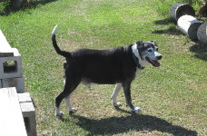 One of the last photos of him ever taken.