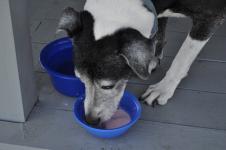 He loves strawby milk!
