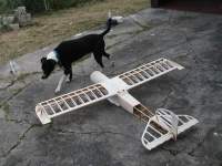 Inspects airframe