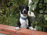 Dotty says 'Please take me!'